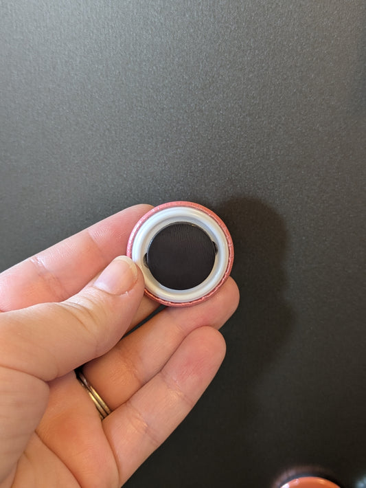 Dino Nugget 1.25" Fridge Magnet Set