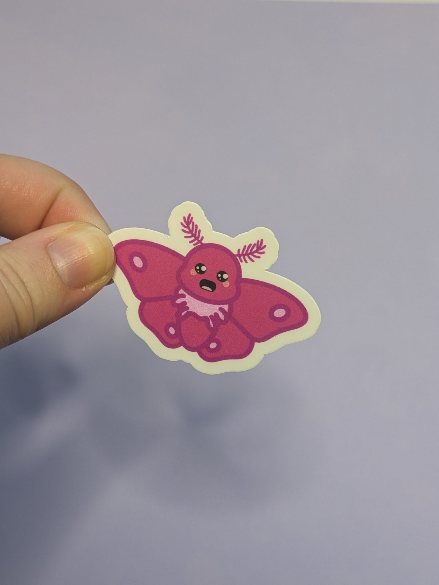 Cute Bug Sticker Pack