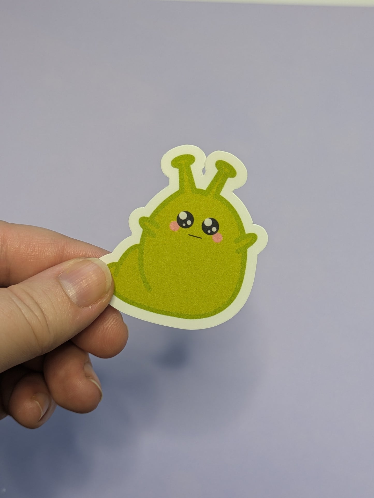 Cute Bug Sticker Pack
