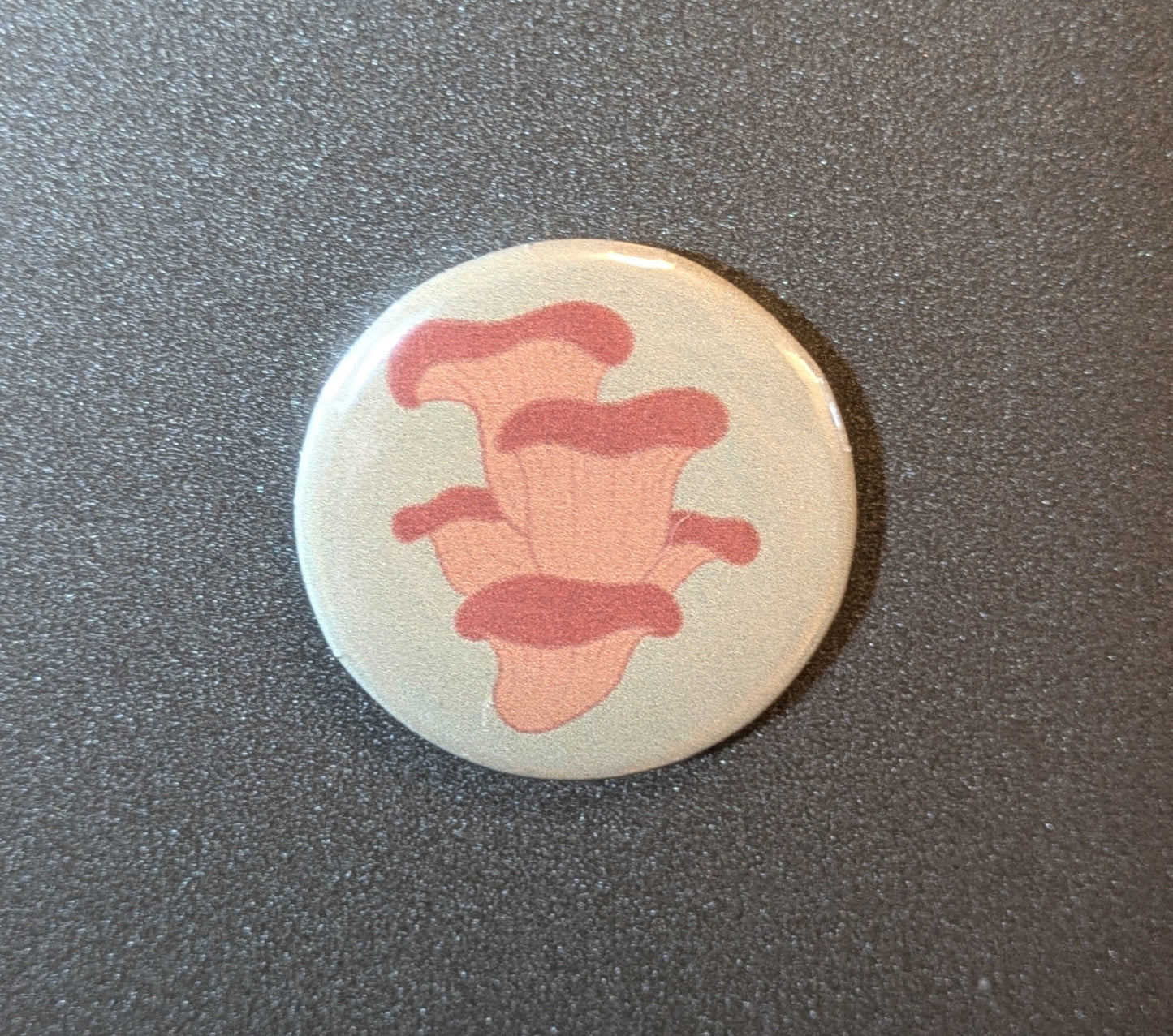 Mushroom 1.25" Magnet Set